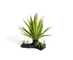 RepTech Terrarium Plant Thin Succulent