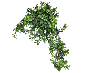 Buxus hanger met haak S