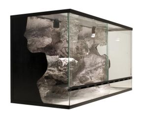 3D Rots terrarium achterwand Yosemite 120 x 60