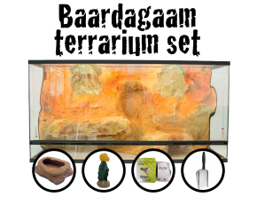 Baardagamen starter set 3D Rock