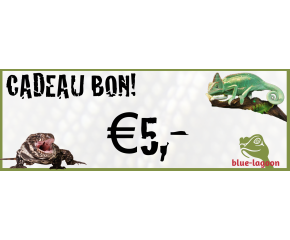 cadeaubon €5.-