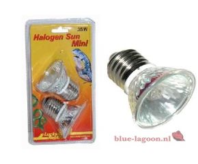 Lucky Reptile Halogen Sun Mini 20W Double Pack