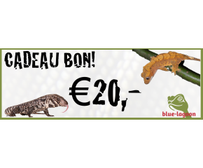 cadeaubon €20-