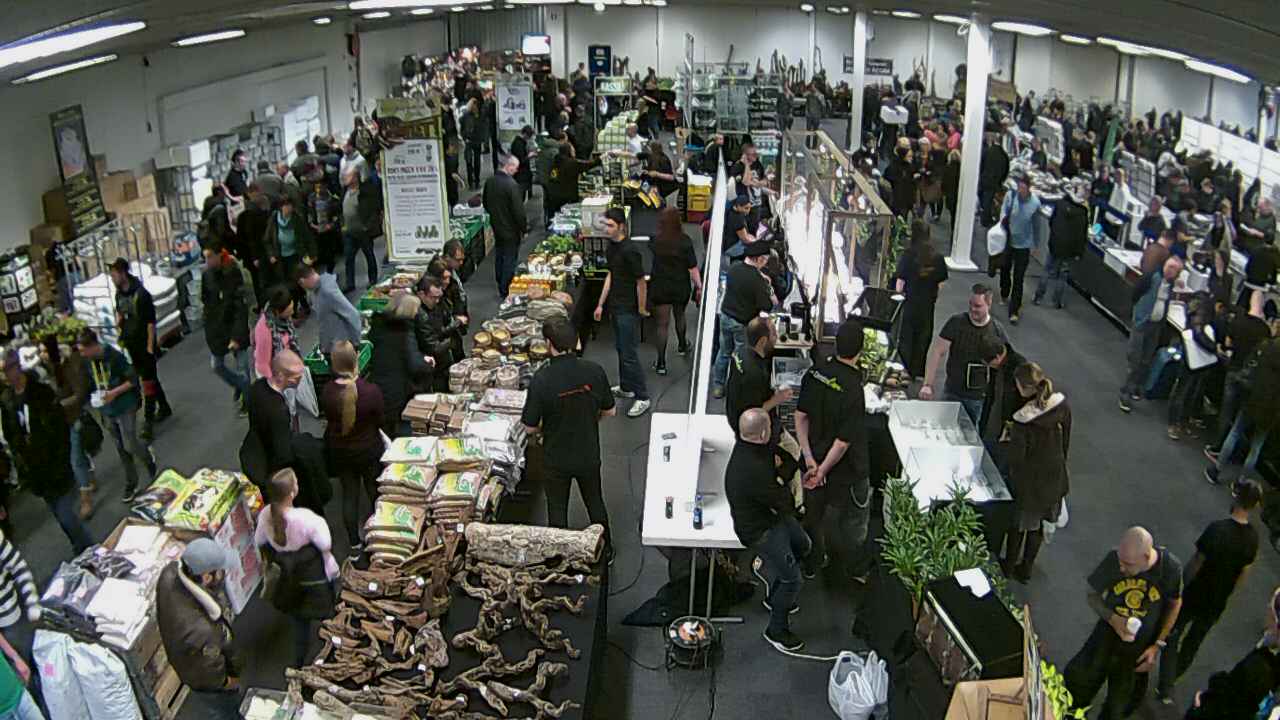 Reptielenbeurs Houten BlueLagoon.nl